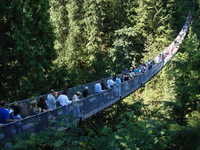 Capilano Suspension Bridge - thank god no honey here!