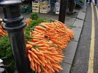 Colourful carrots at the Galway public market