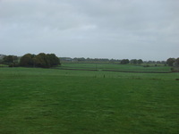 The sunny fields of green!