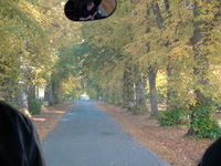 Driving down the avenue to Blair Castle, through the Linden trees
