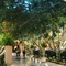 1795c4fe0f-the_lobby_at_the_wynn_hotel_and_casino