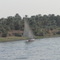 818e2c4b9e-a_local_feluca_sailing_down_the_nile